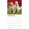 Yellow Labrador Retrievers | 2026 12 x 24 Inch (Hanging) Monthly Square Wall Calendar | Plastic-Free